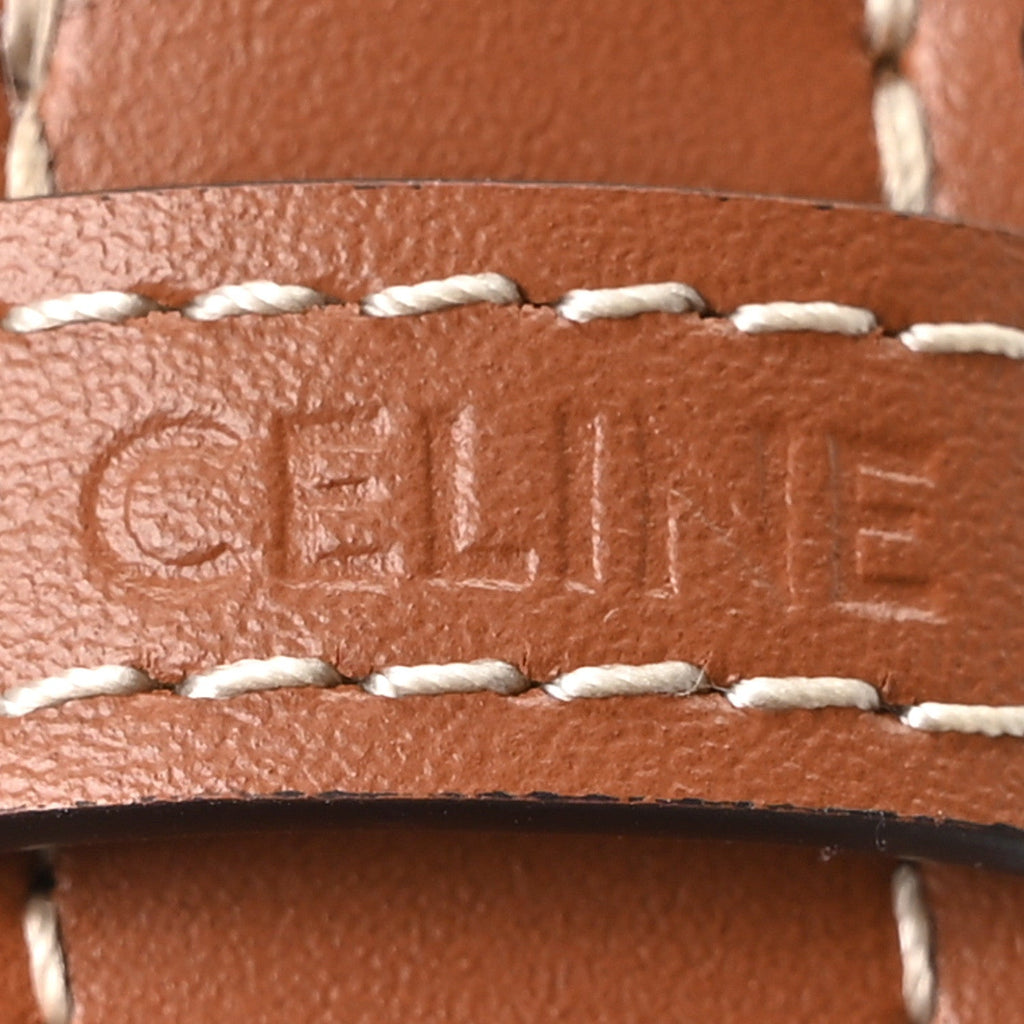 Triomphe Canvas Calfskin Medium Strap Ava Triomphe Shoulder Bag Tan