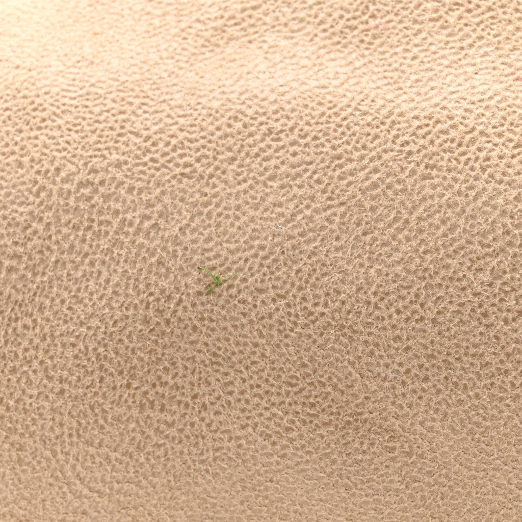 Shaggy Deer Mini Falabella Fold Over Tote Beige