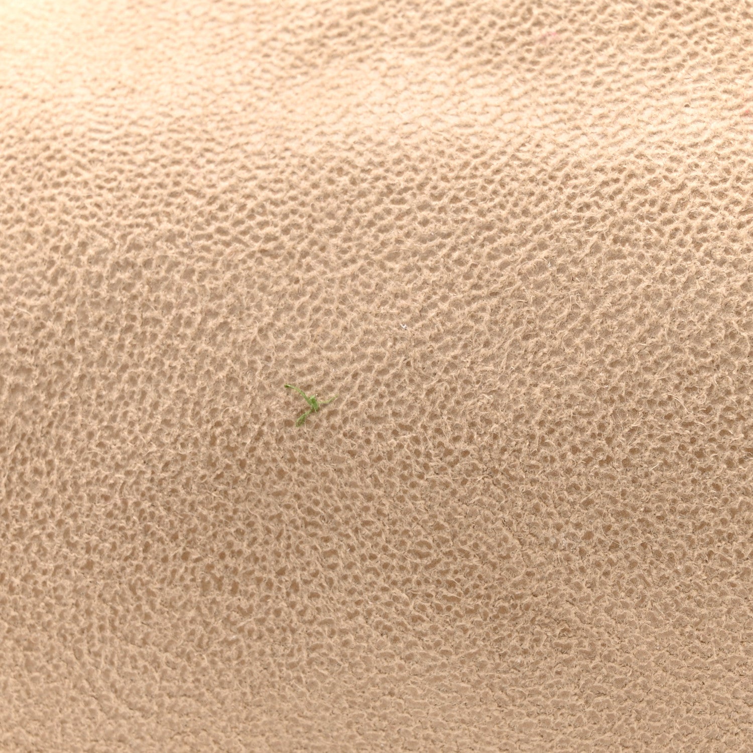 Shaggy Deer Mini Falabella Fold Over Tote Beige