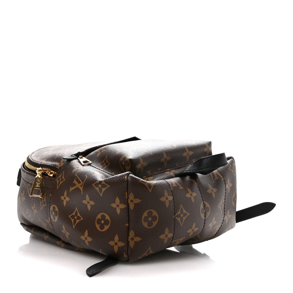 Monogram Palm Springs Backpack PM