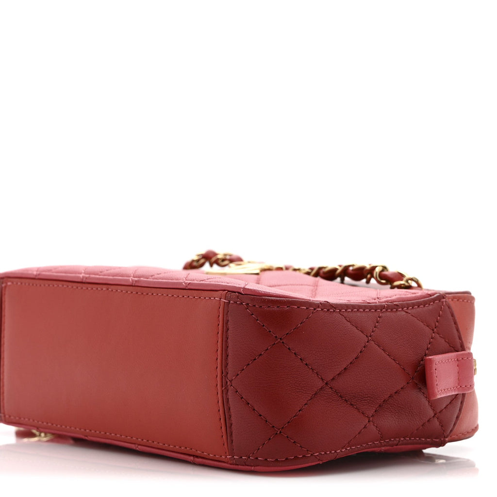 Goatskin Quilted Small In & Out Camera Case Pink Red