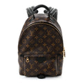 Monogram Palm Springs Backpack PM