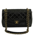 Chanel Python Flap Bag