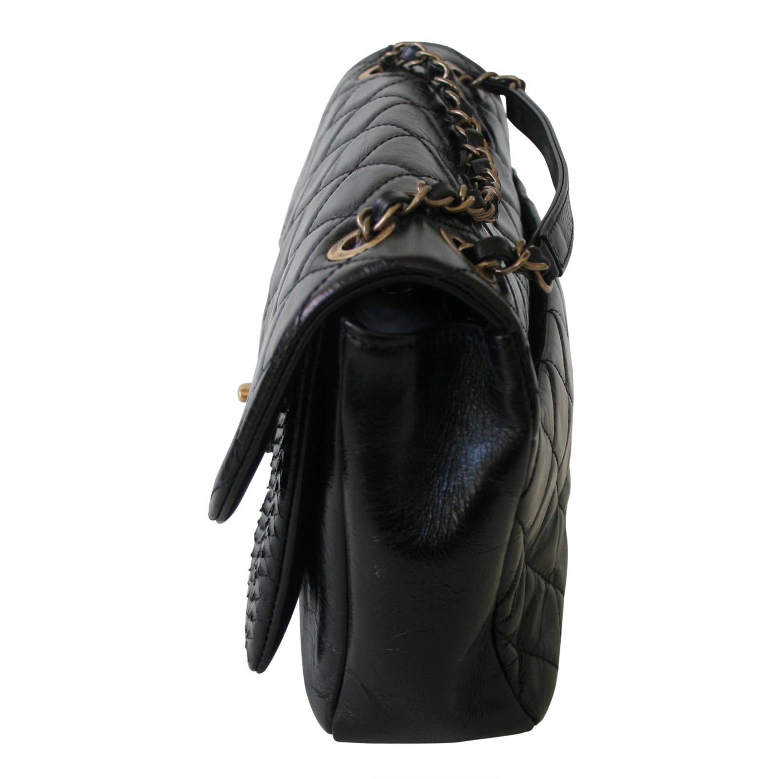 Chanel Python Flap Bag