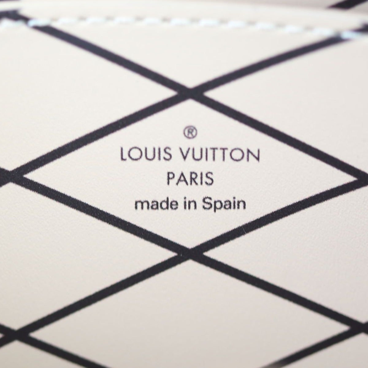 Louis Vuitton Vertical Trunk Pochette Monogram Reverse