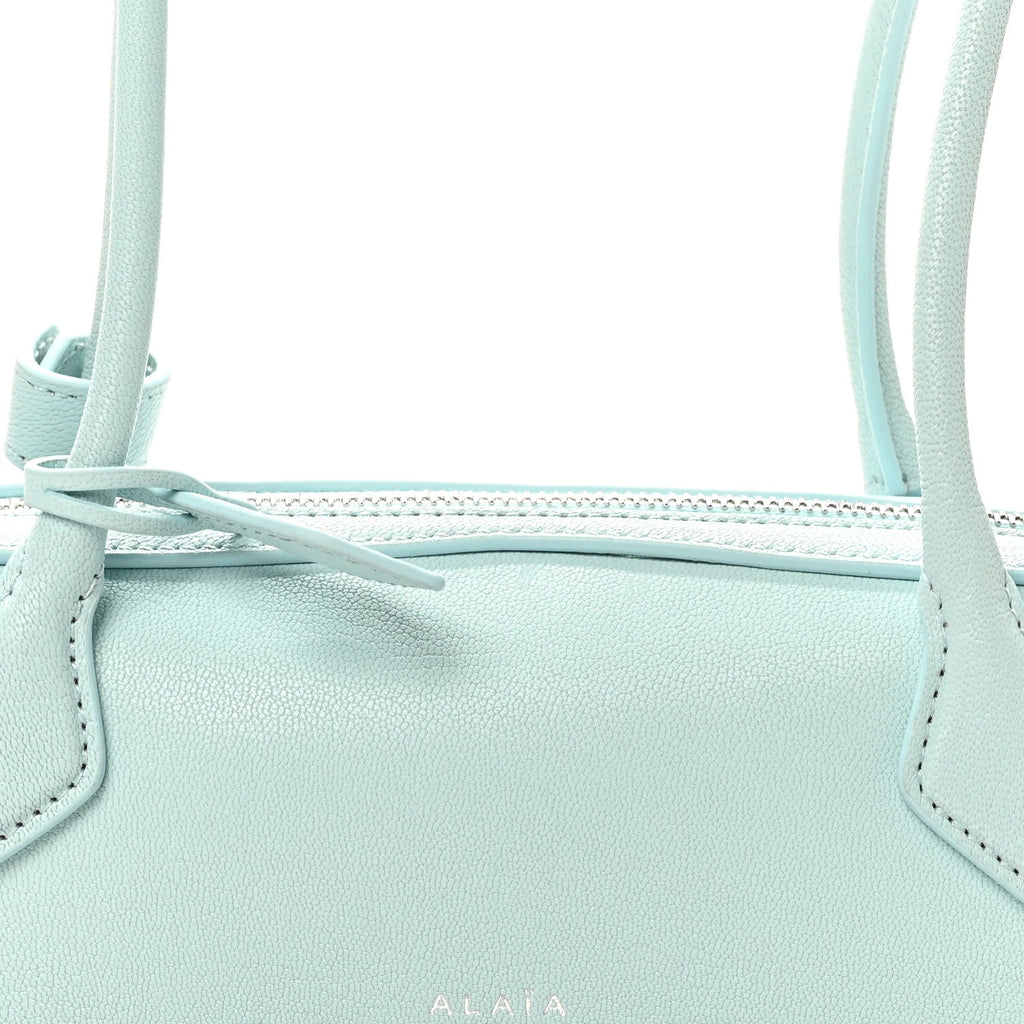 Goatskin Small Le Teckel Bag Lagon