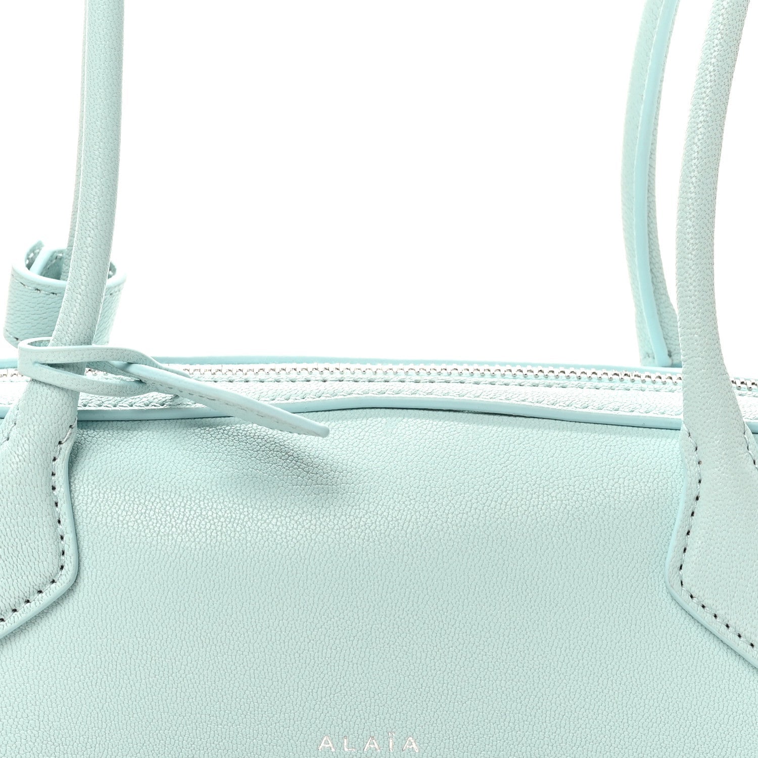 Goatskin Small Le Teckel Bag Lagon