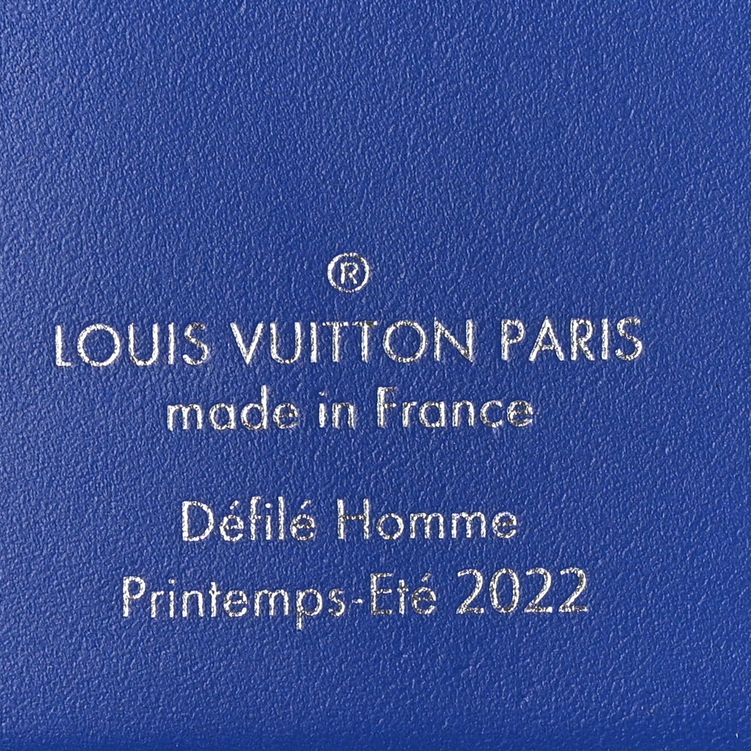 Taurillon Illusion Pocket Organizer Bleu Vert