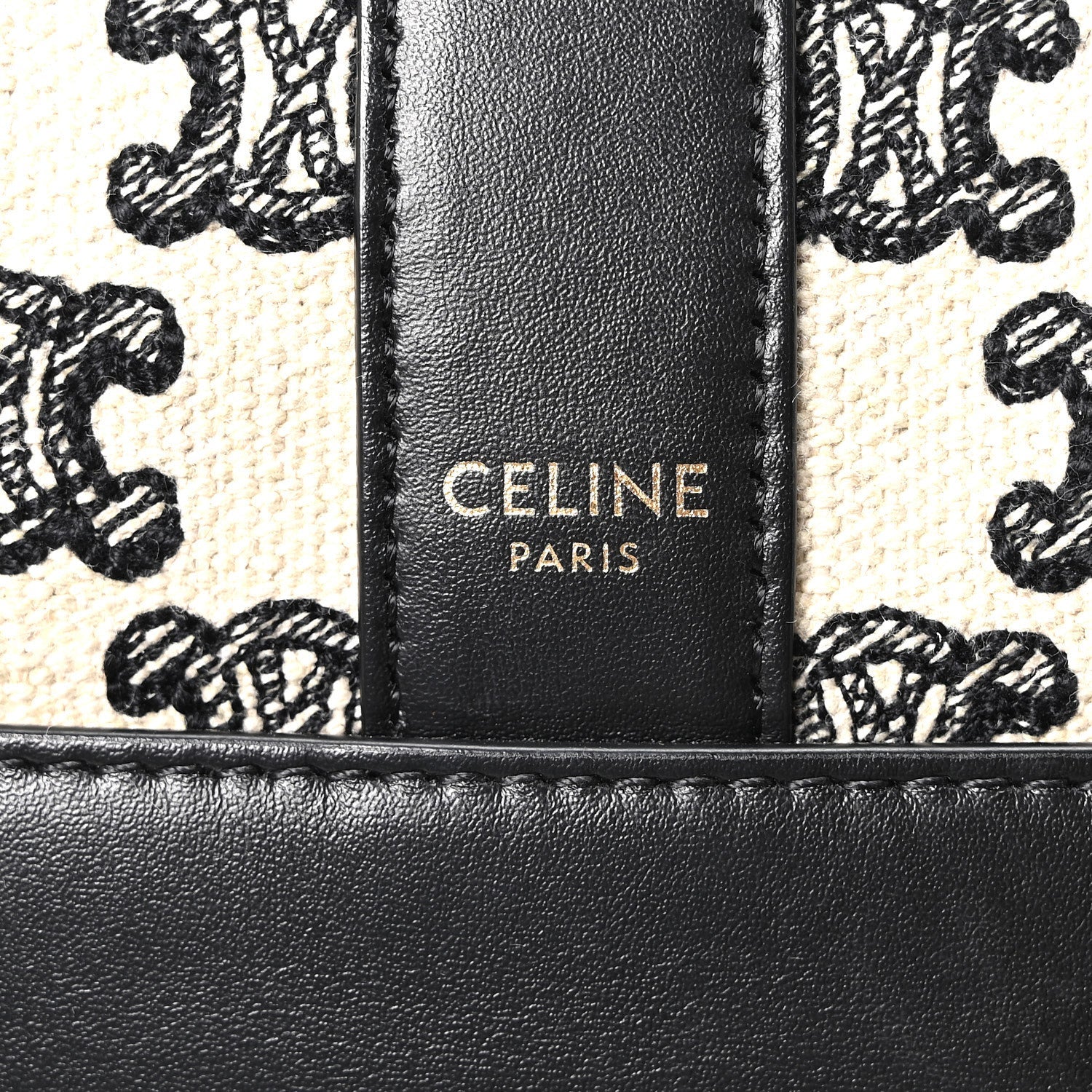 Canvas Calfskin Triomphe Embroidered Small Bucket Bag