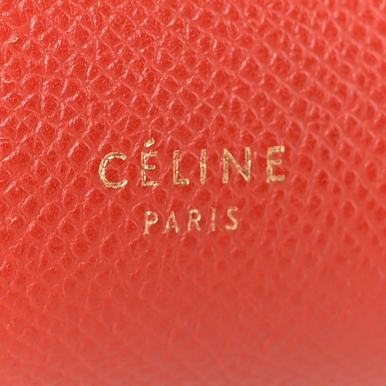 Grained Calfskin Nano Belt Bag Coral