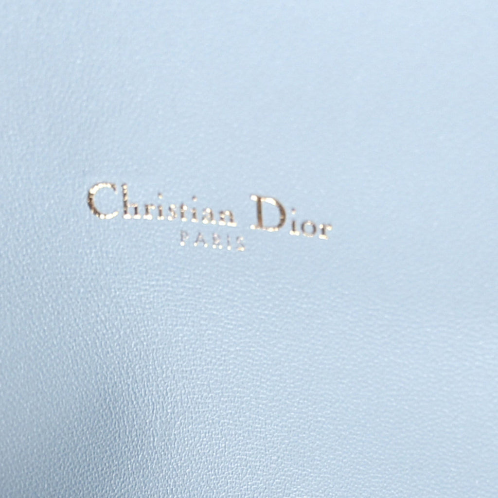 Grained Calfskin Saddle Chain Pouch Cloud Blue