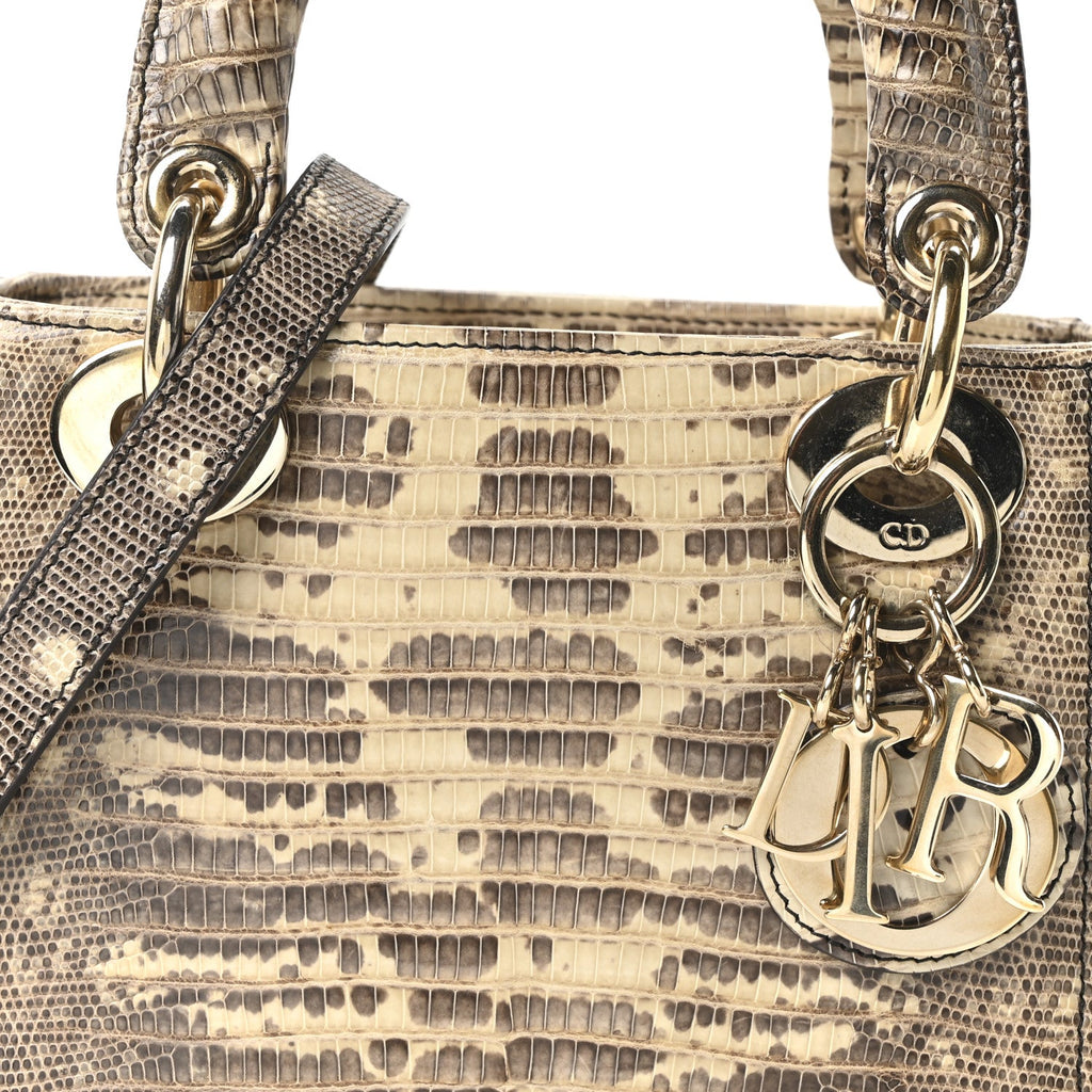 Lizard Ombre Mini Lady Dior