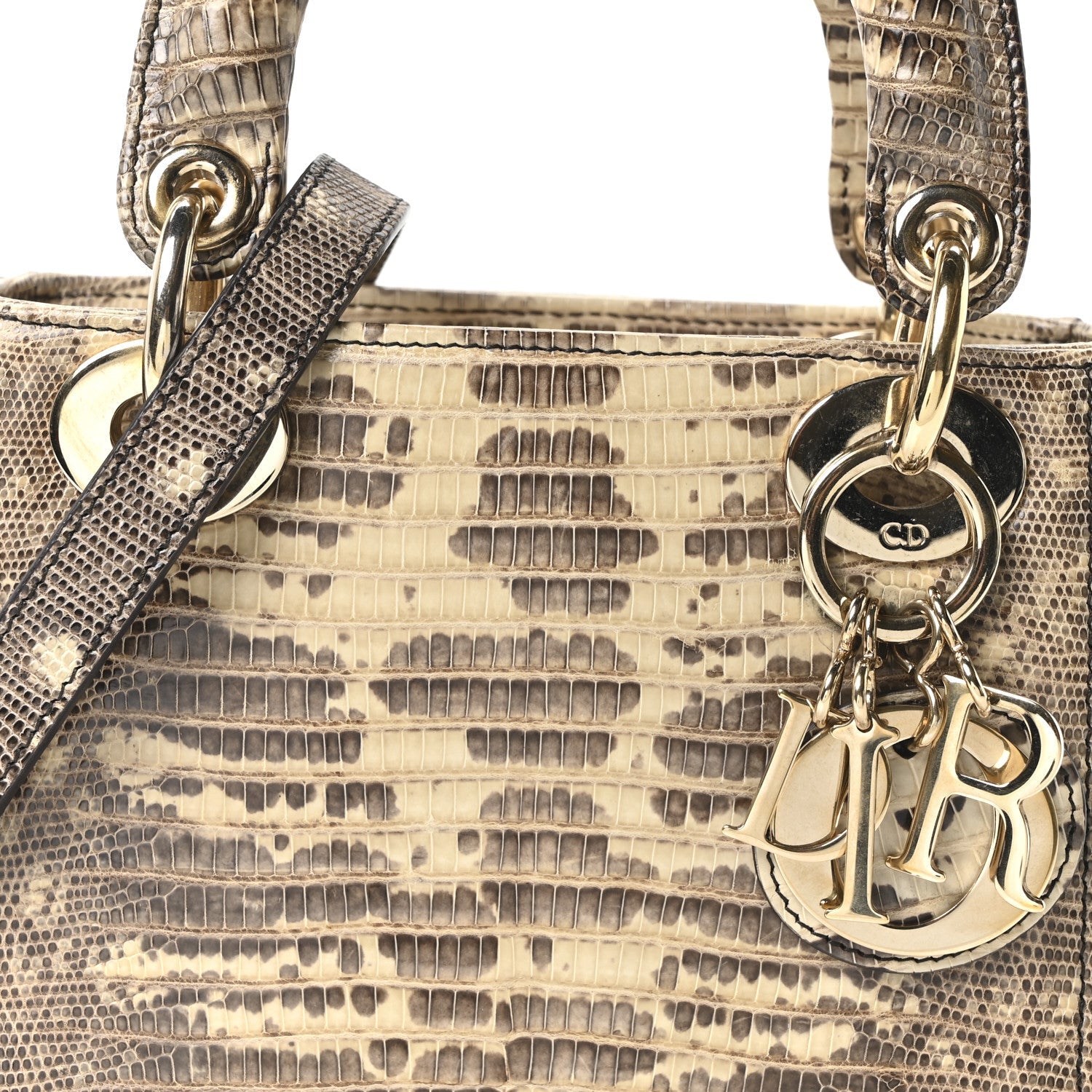 Lizard Ombre Mini Lady Dior