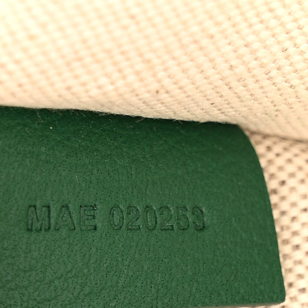 Goyardine Villette MM Tote Green