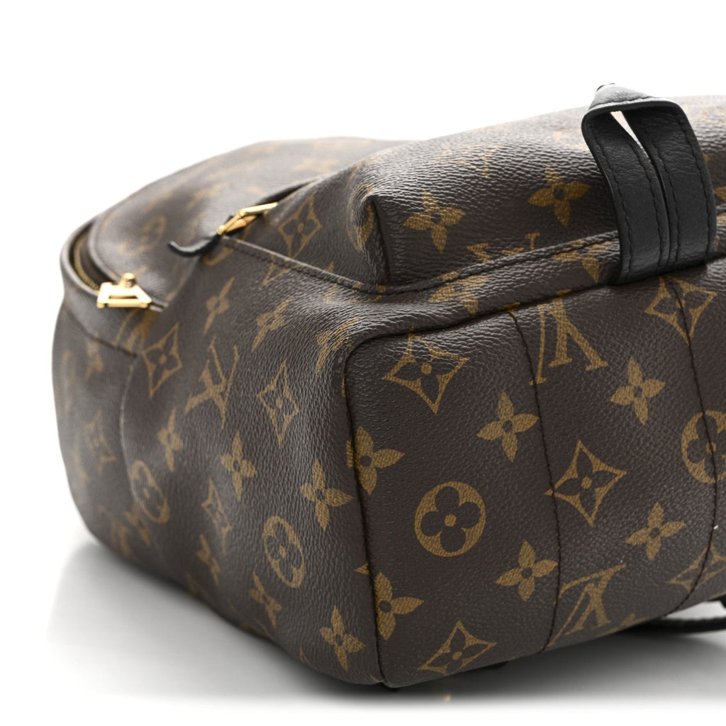 Monogram Palm Springs Backpack PM