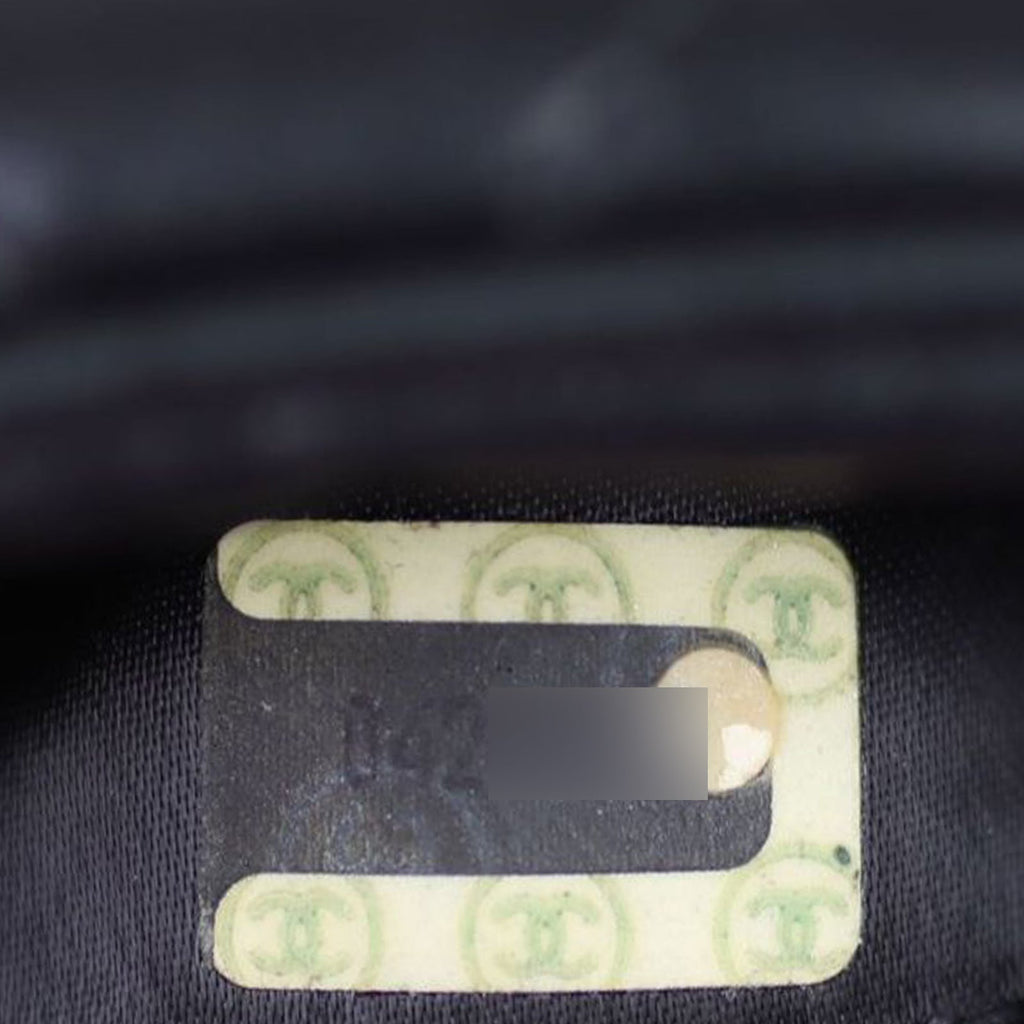 Chanel Quilted Camera Bag