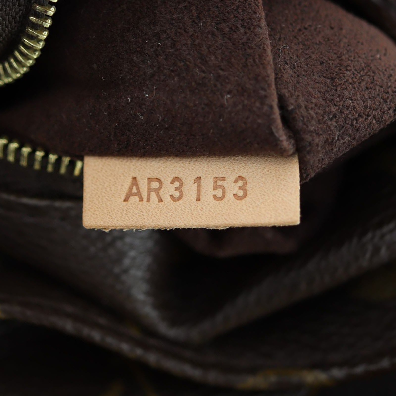 Louis Vuitton Metis Hobo Monogram