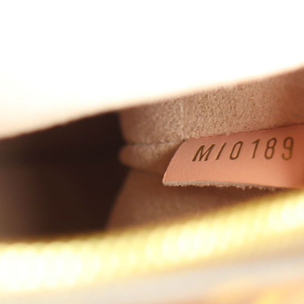 Louis Vuitton NeoNoe Monogram