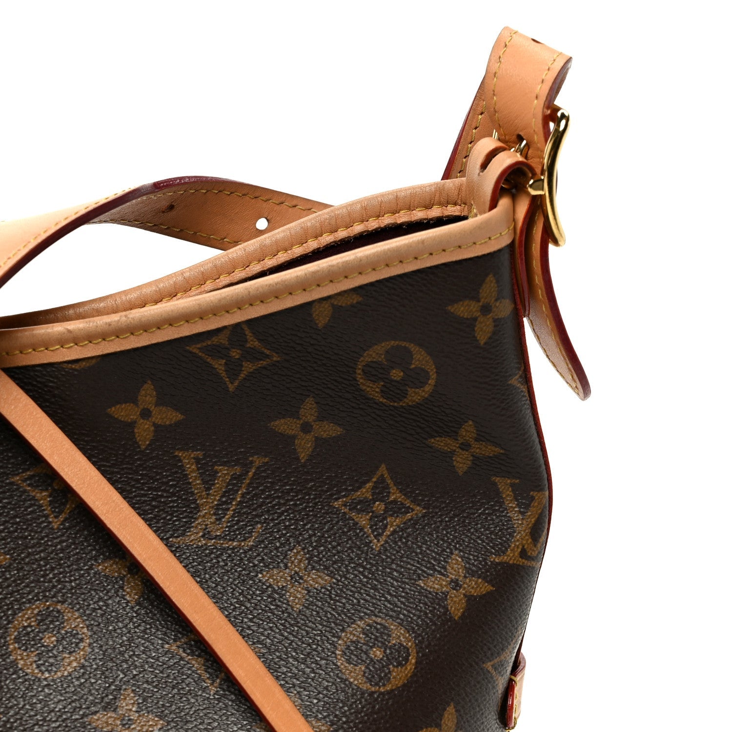 Monogram CarryAll PM
