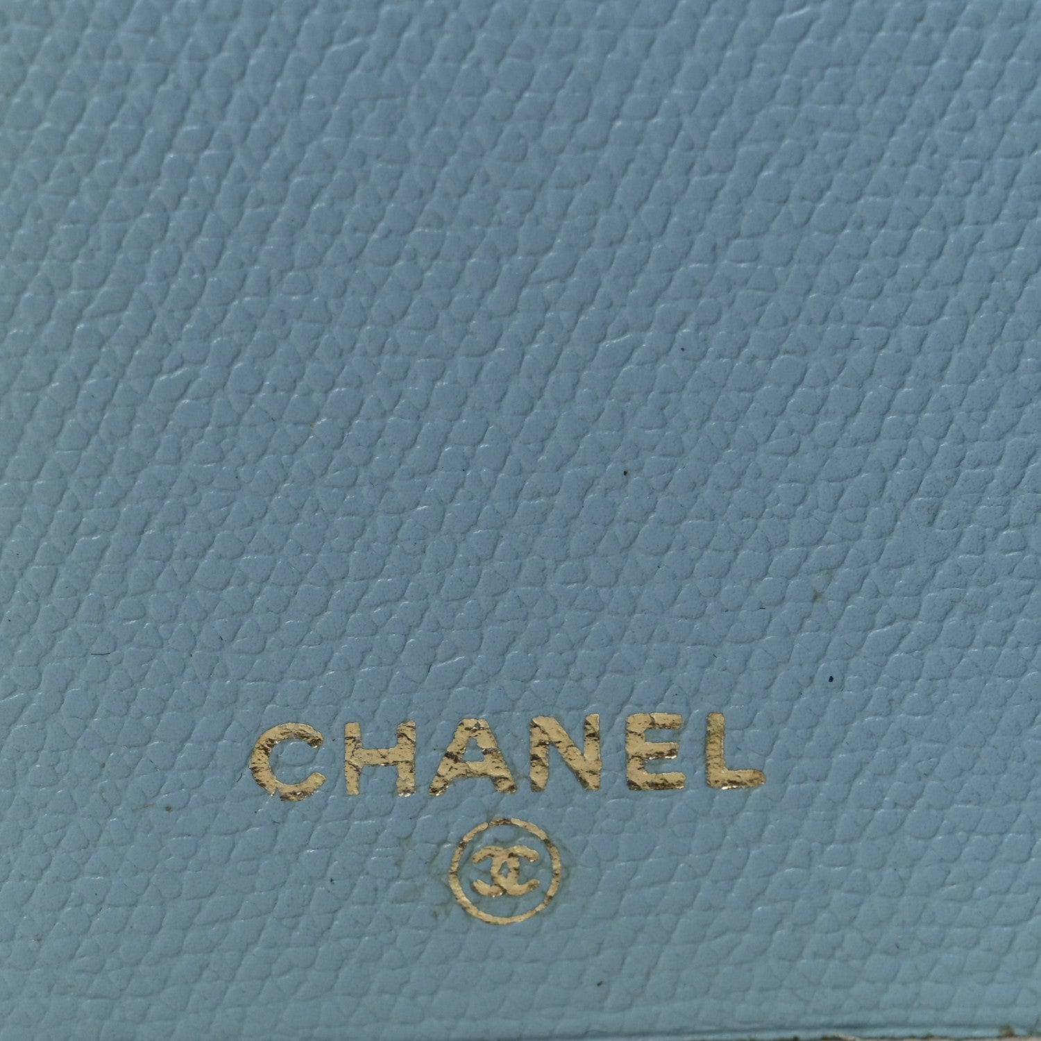 Caviar CC  Holder Light Blue
