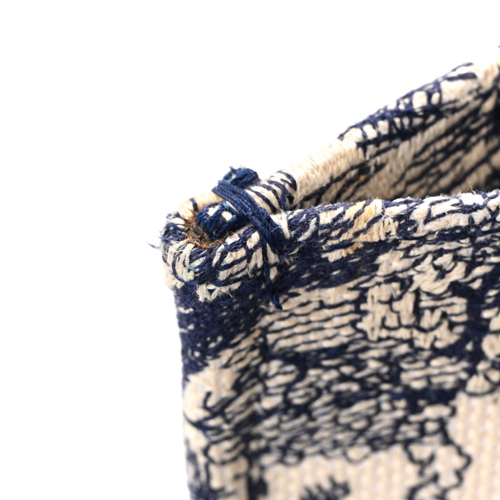 Canvas Embroidered Medium Dioriviera Toile De Jouy Book Tote Blue