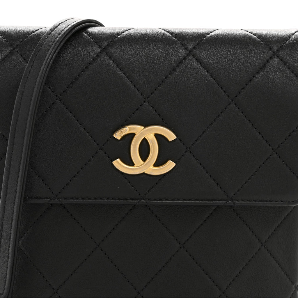 Calfskin Quilted Pearl Small About Pearls Hobo Bag Black