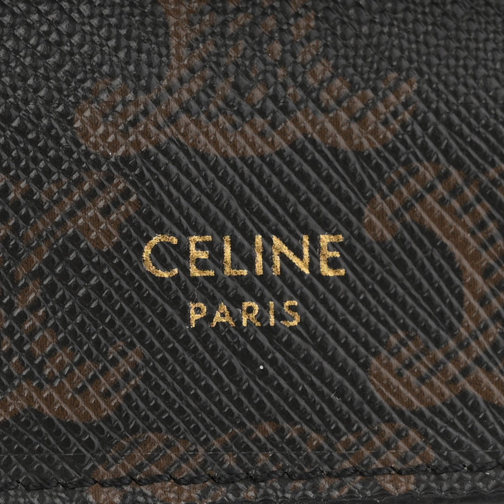 Triomphe Canvas Lambskin Wallet On Strap Tan