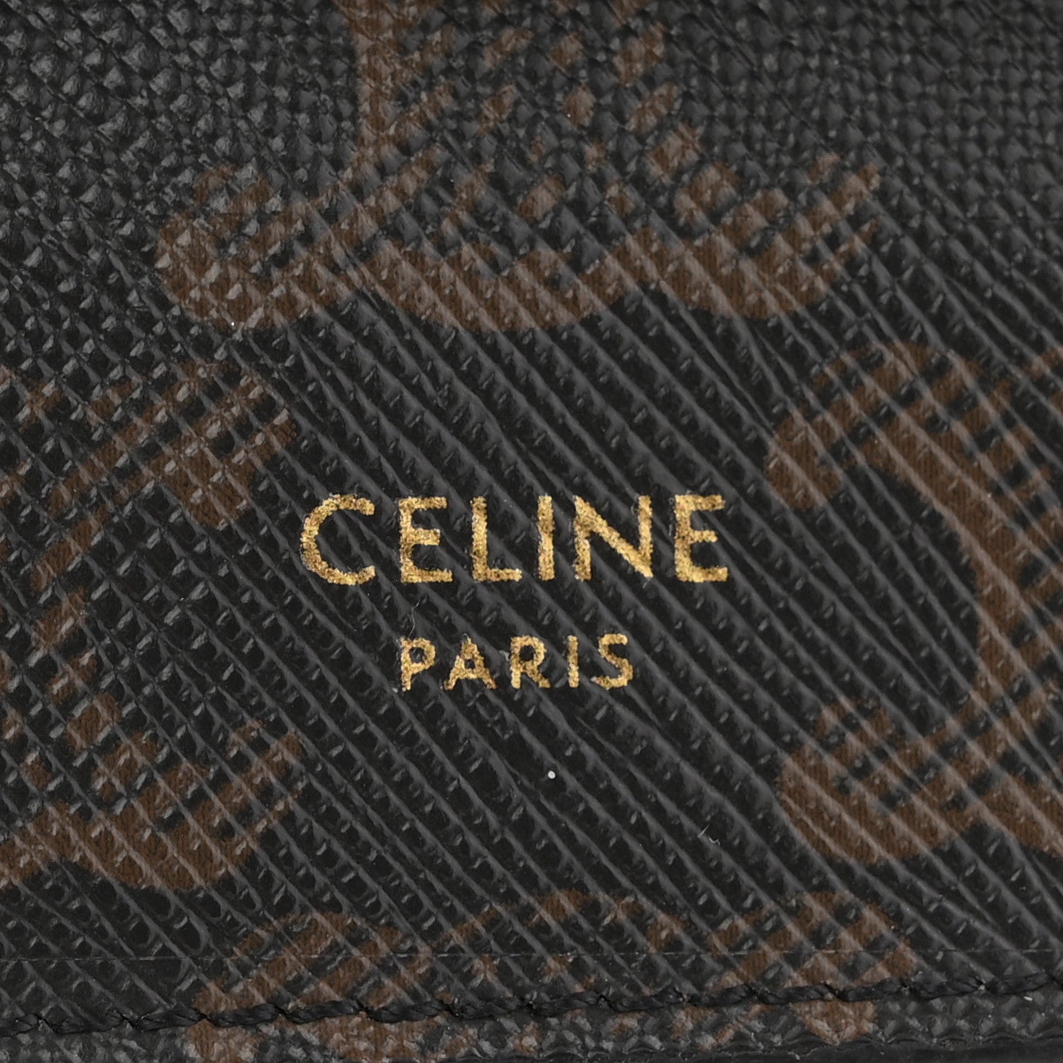 Triomphe Canvas Lambskin Wallet On Strap Tan