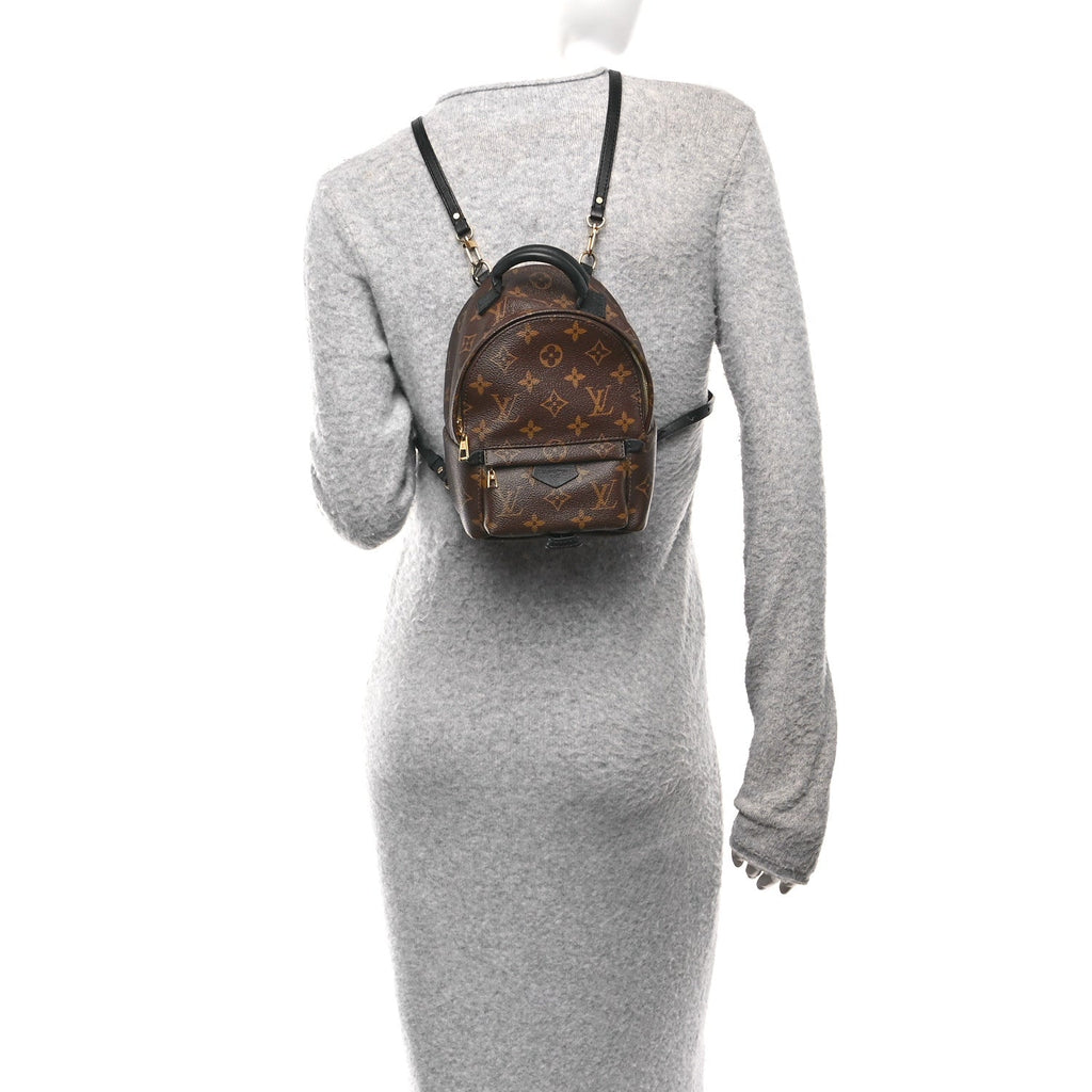 Monogram Palm Springs Backpack Mini
