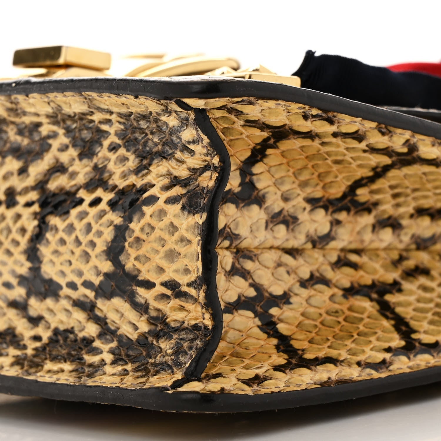 Snakeskin Mini Sylvie Chain Shoulder Bag Roccia