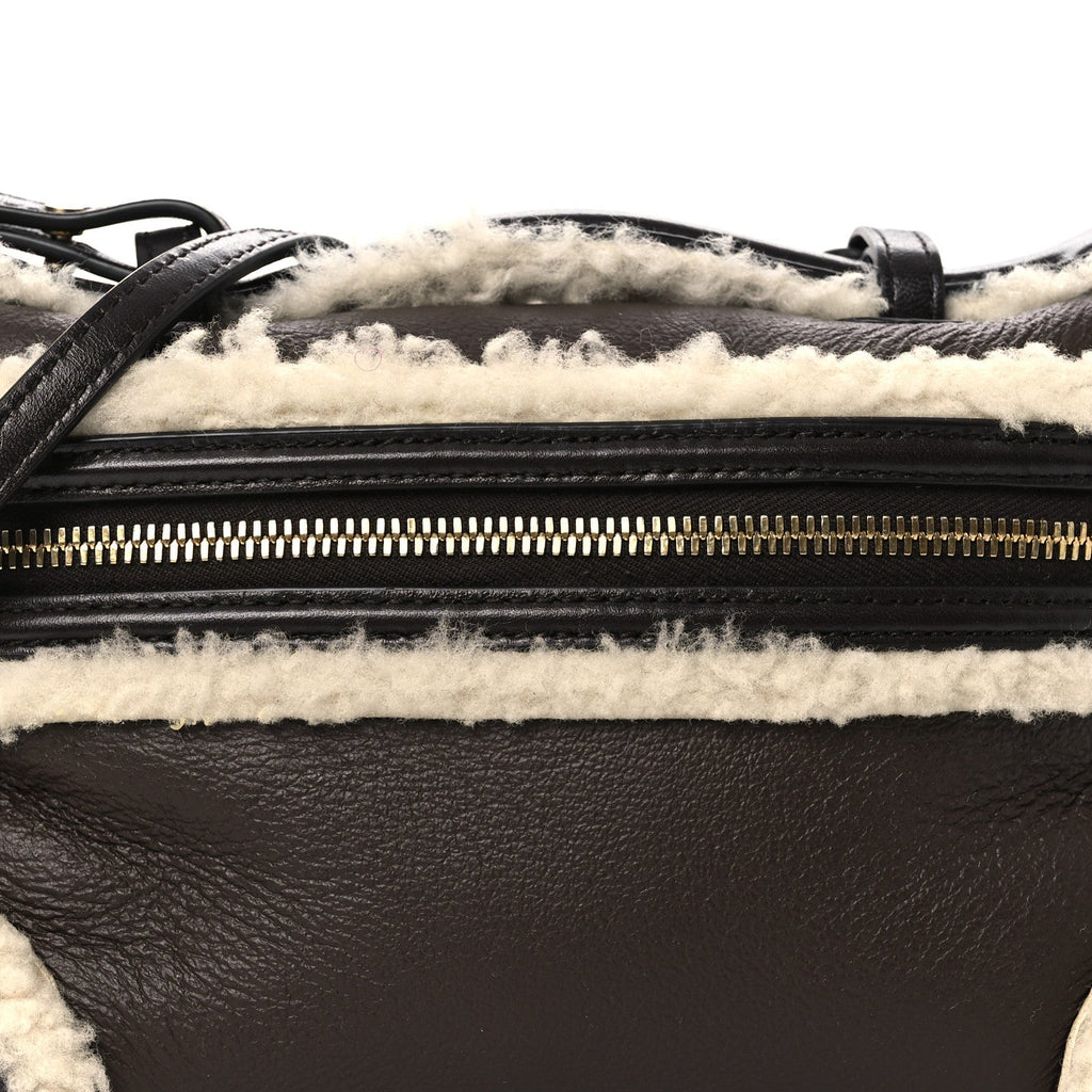 Calfskin Shearling Bang Bang Vanity Case Light Brown Teddy