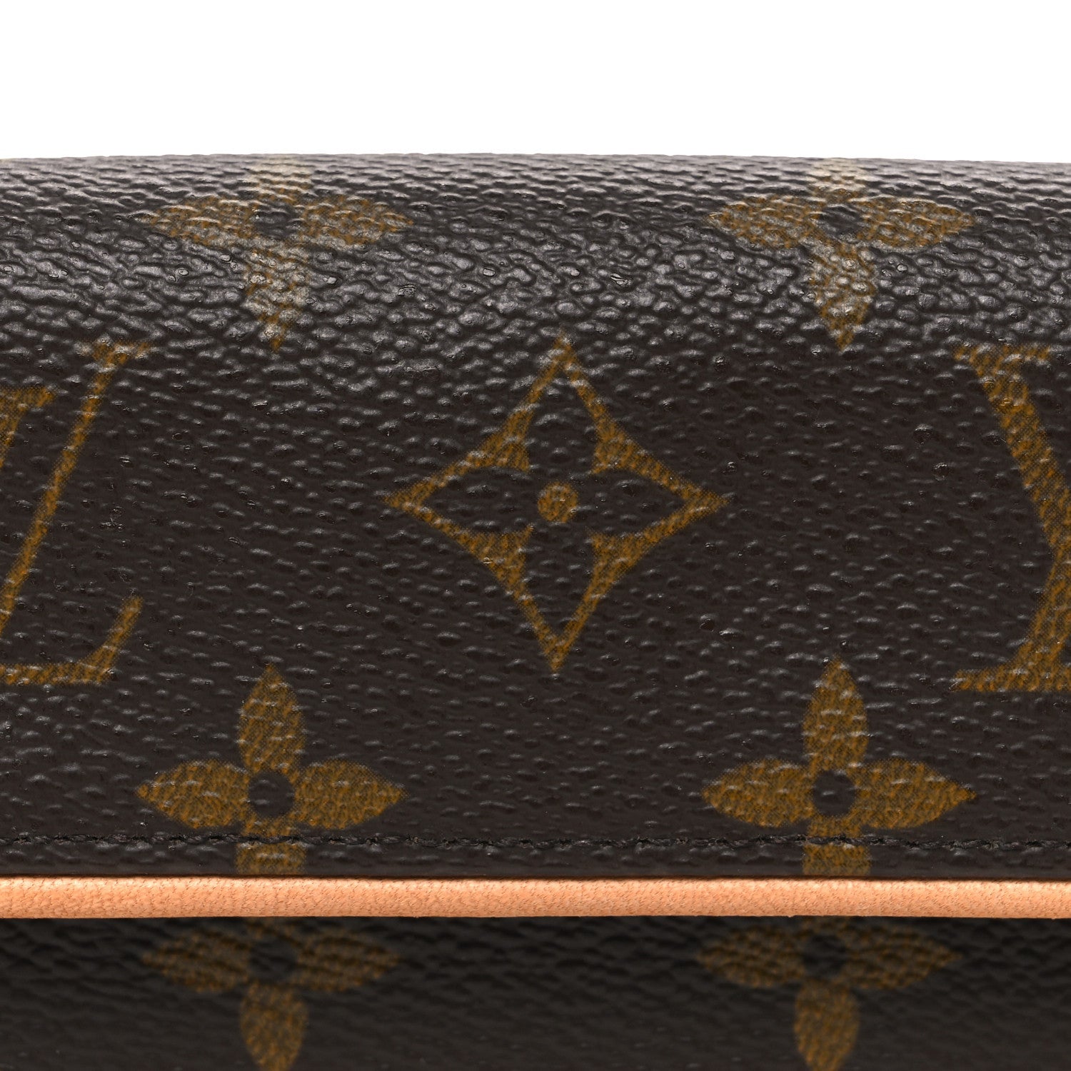 Monogram Pochette Florentine M