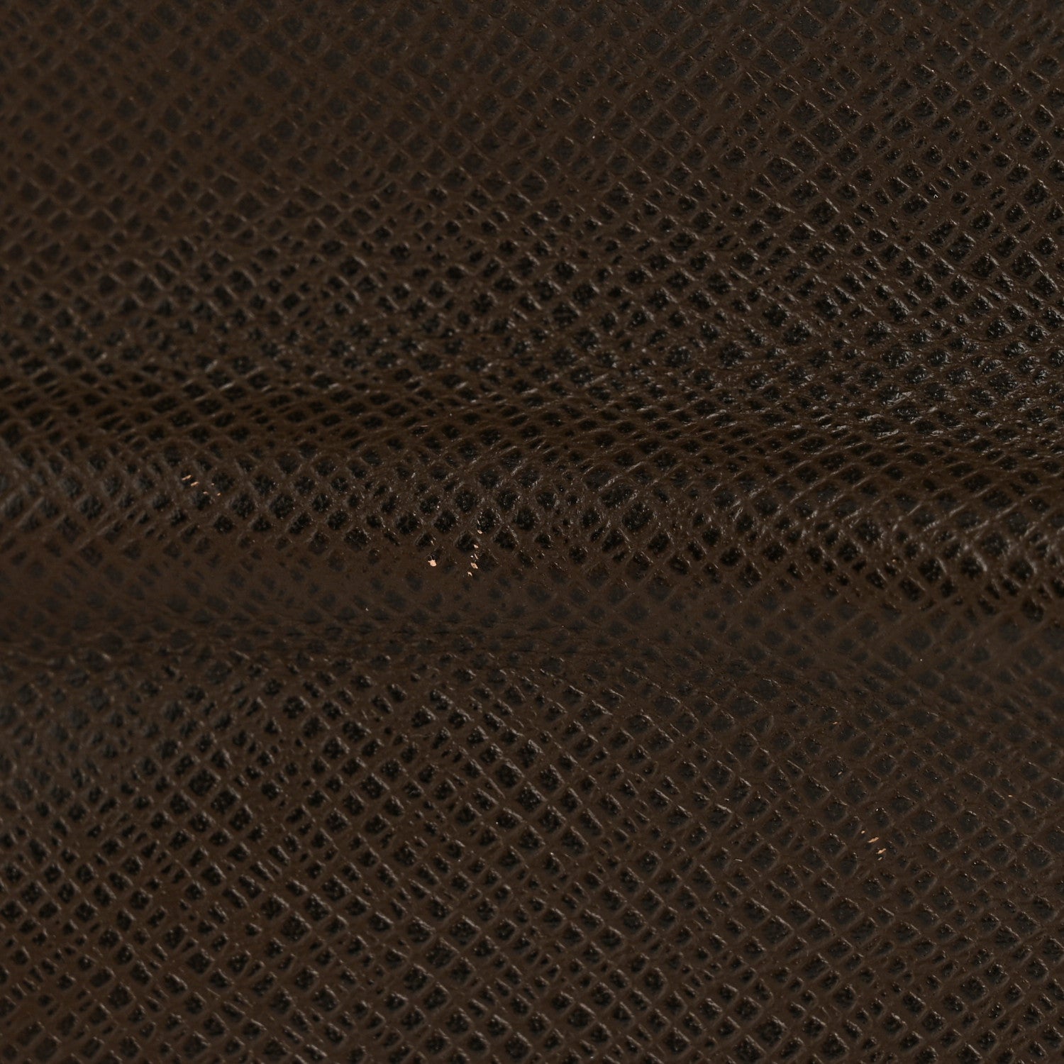 Taiga Brazza Wallet Grizzli