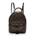Monogram Palm Springs Backpack Mini