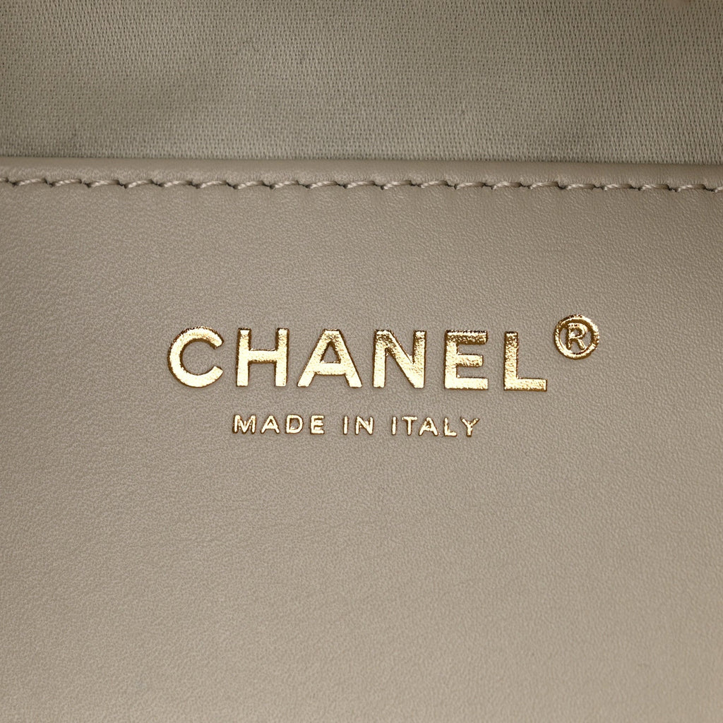 Caviar Quilted Small Chanel 25 Handbag Light Grey