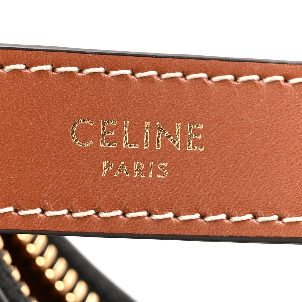 Triomphe Canvas Calfskin Ava Shoulder Bag Tan