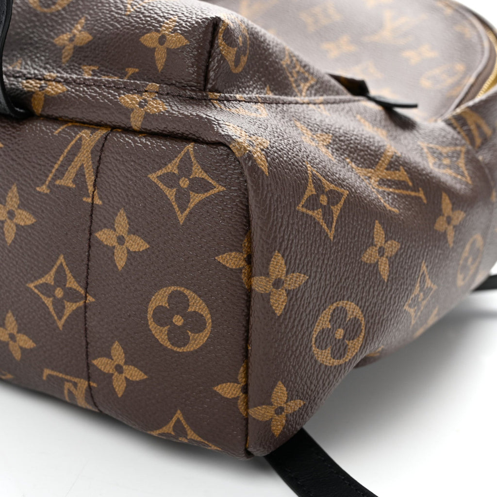 Monogram Palm Springs Backpack PM