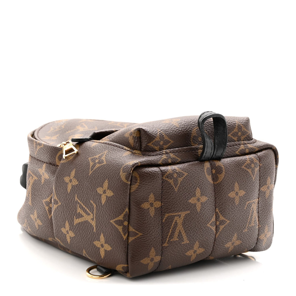 Monogram Palm Springs Backpack Mini