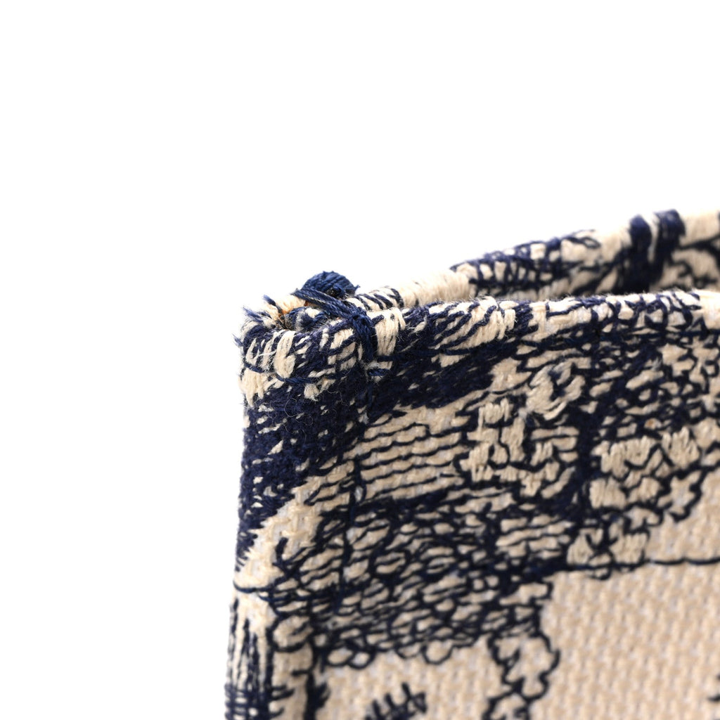 Canvas Embroidered Medium Dioriviera Toile De Jouy Book Tote Blue