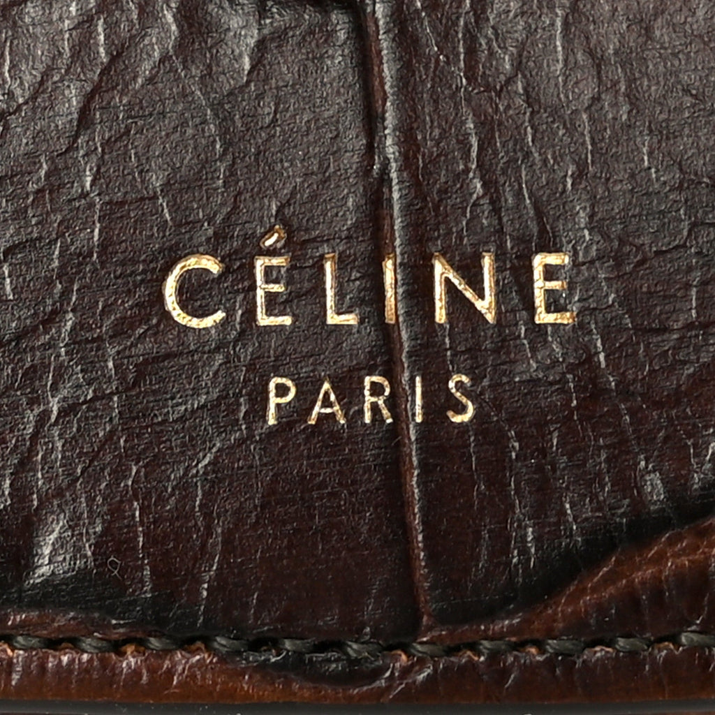 Crocodile Embossed Calfskin Mini Symmetrical Bag Brown