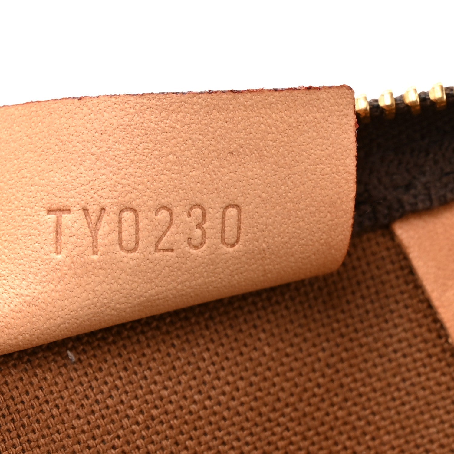 Monogram Nano Speedy