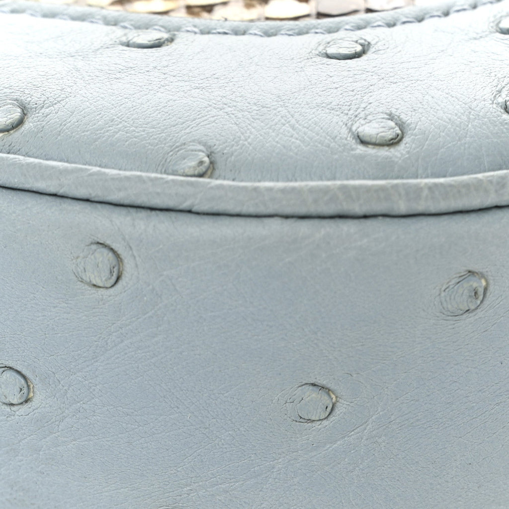 Snakeskin Ostrich Calfskin Small Jackie 1961 Hobo Blue Multicolor