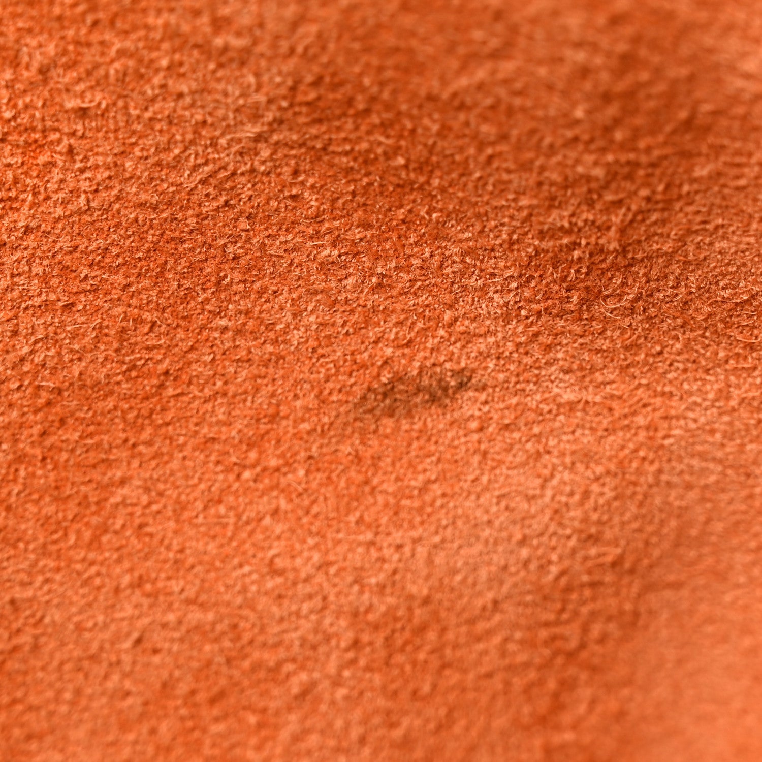 Taurillon Clemence Evelyne III GM Orange