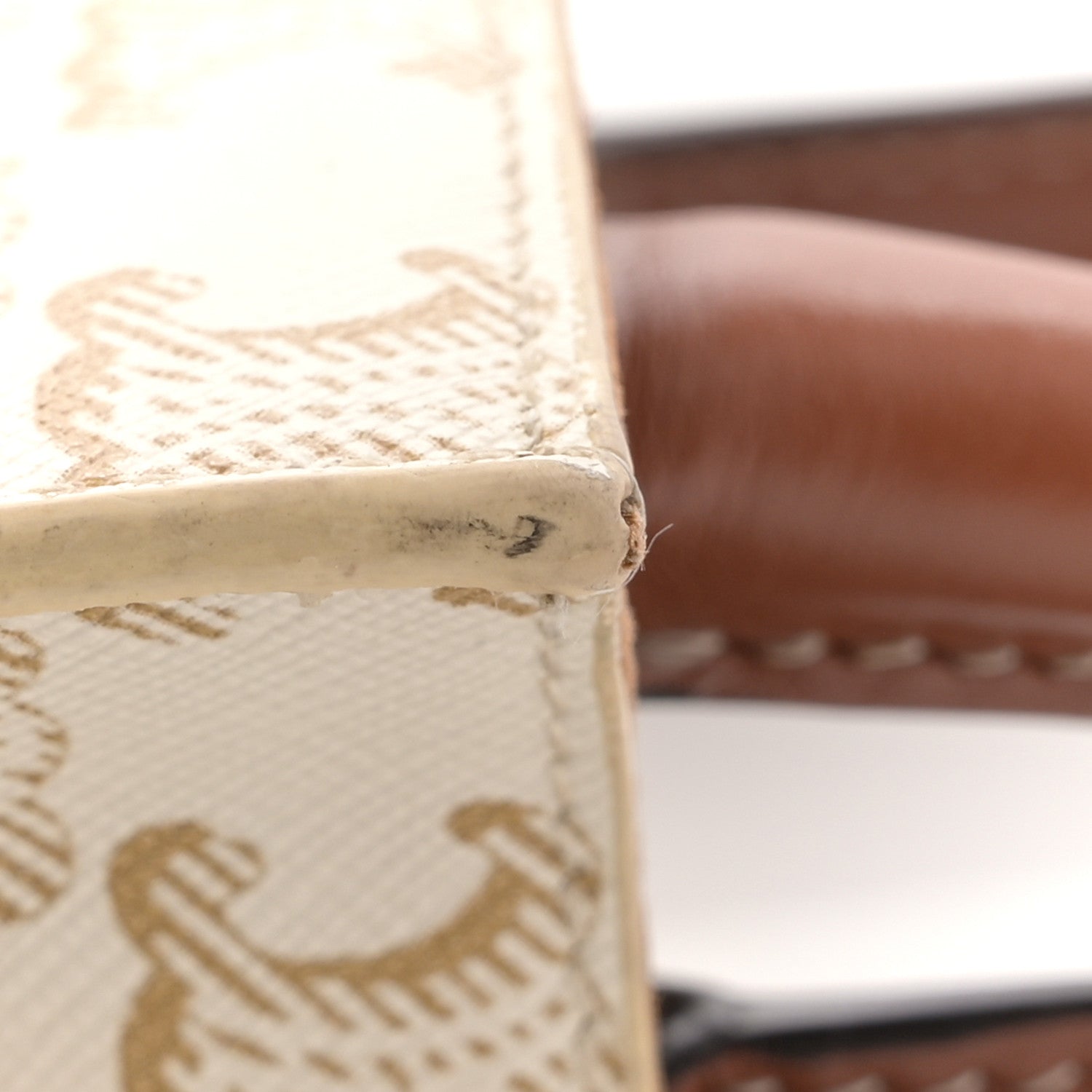 Triomphe Canvas Calfskin Mini Vertical Cabas White