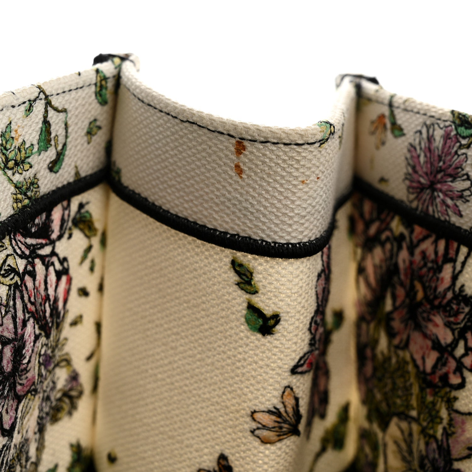 Canvas Embroidered Large D-Constellation Book Tote Latte Multicolor