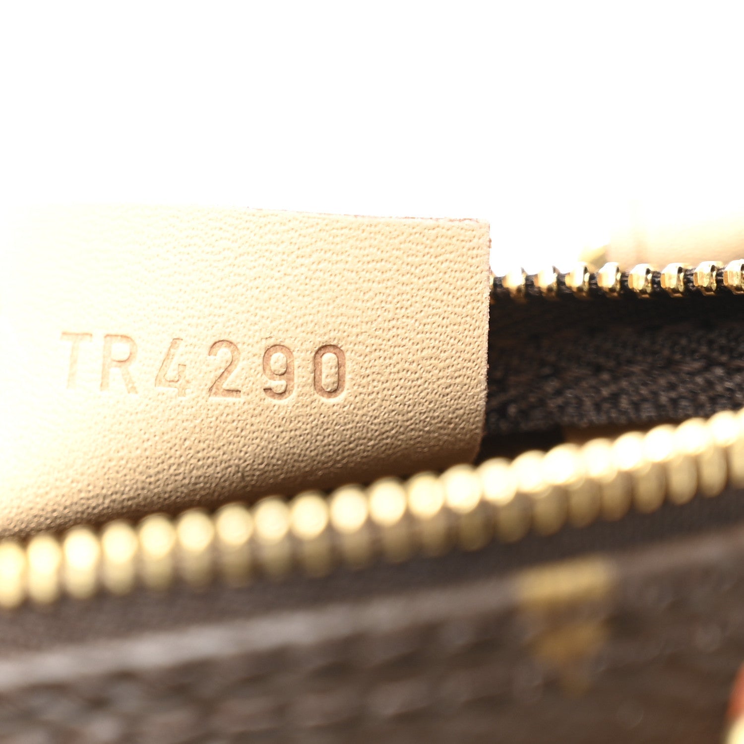 Monogram Nano Speedy