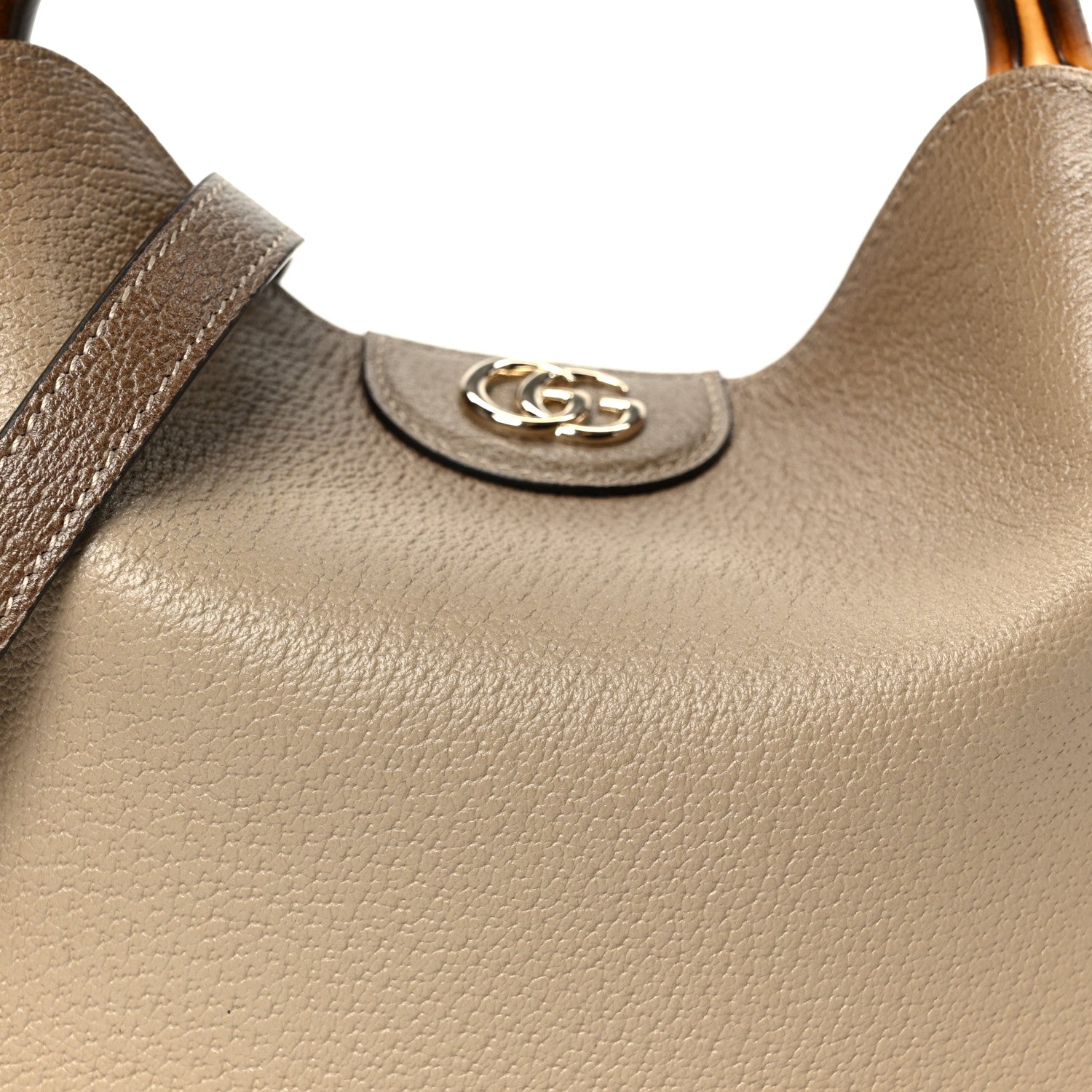 Softy Wonka Textured Dollar Calfskin Small Diana Shoulder Bag
