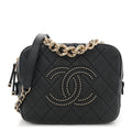 Lambskin Quilted Studded Quilted Vanity Case With Chain Black