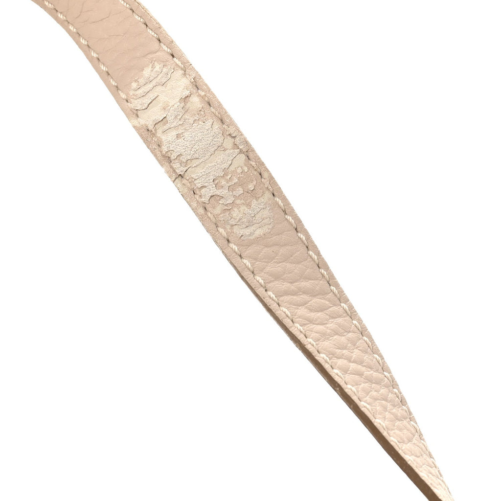 Grained Calfskin Mini Marcie Saddle Bag Blush Nude
