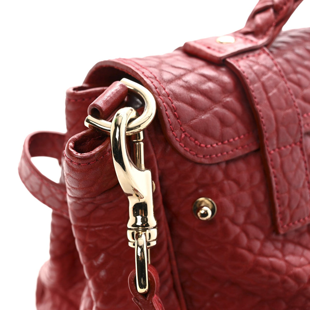 Shrunken Calfskin Medium Alexa Red